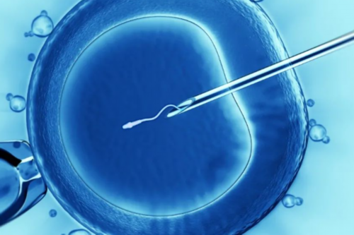 太原代怀孕包男孩，太原卵巢早衰治疗费用多少