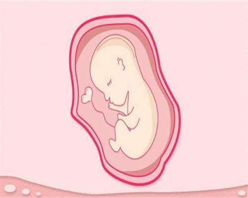 哪里有太原代孕公司，太原染色体分析费用多少