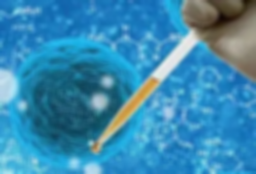 移植囊胚着床感觉~试管代怀