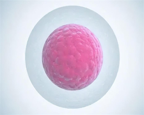 山西怎样借腹生子，山西儿童医院没有供卵项目