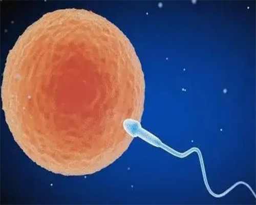 山西试管婴儿免费政策,山西煤炭中心医院试管怎么样