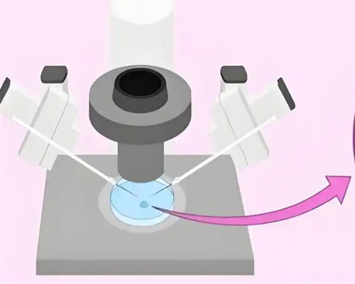 太原代孕医院机构价格， 太原试管代孕是否违法