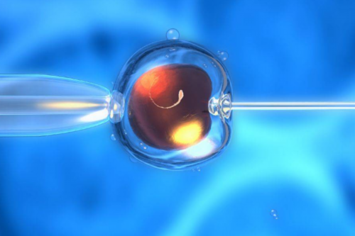 多囊卵巢综合征真的与宝宝无缘吗？多囊卵巢综合症一定会遗传给女儿吗？~代生流程