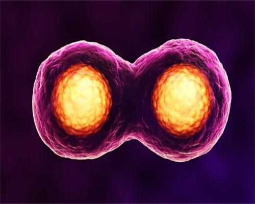 代怀宝宝试管供卵_代怀给多少钱一次,上海捐卵供卵代怀（供卵能用认识人的卵