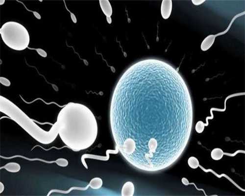 太原代怀医院专家,始基子宫吃药怎么治疗？能不能通过试管婴儿怀孕？-双顶径