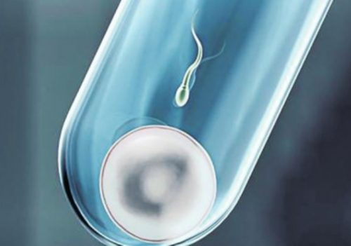 太原做代孕试管龙凤胎，太原试管代孕违法吗