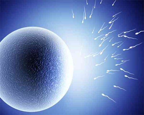 山西试管实验室供卵三代包生男孩是骗局吗？,山西华诚试管助孕,山西供卵医院