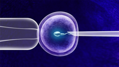 测试纸颜色一深一浅怀孕吗~三代试管助孕