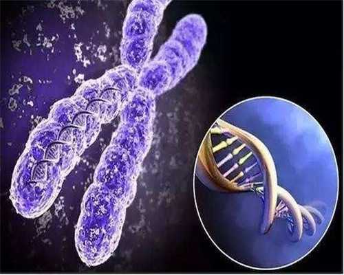 太原买卵,多发性子宫肌瘤，能做试管婴儿吗？-试管胚胎移植13天后失败后都要