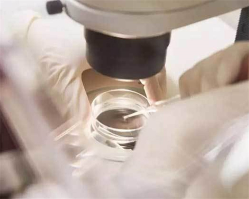 代孕种类及价格,广西供卵代怀生子需要多少钱?附2026广西试管助孕费用明细