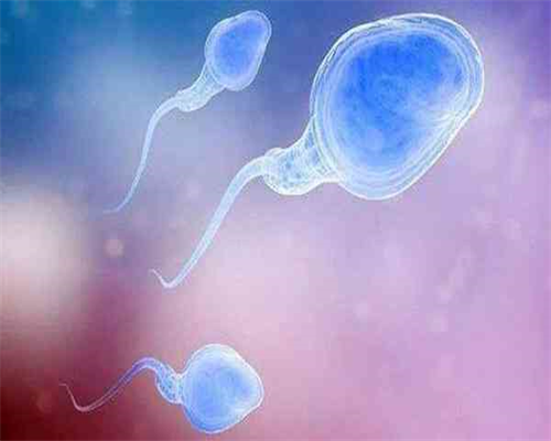 太原借卵生子的经验，太原6家试管婴儿医院列表