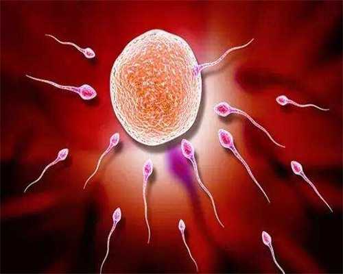 精子存活率百分之20做试管婴儿~供卵代怀男孩