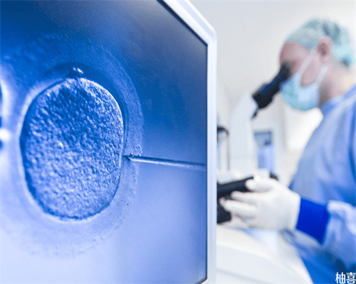 代怀妈妈群_代怀包成功价格表,泰国试管婴儿是移植双胎和单胎哪个好?_南京代