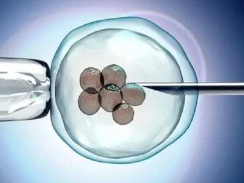 山西有泰国试管婴儿公司吗？,丽水山西有供卵的医院吗