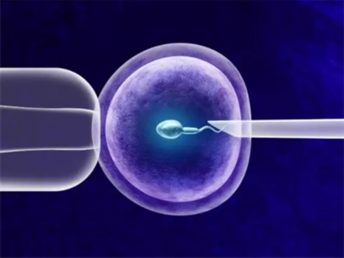 太原私人做试管婴儿选择男女，太原私立医院的选择