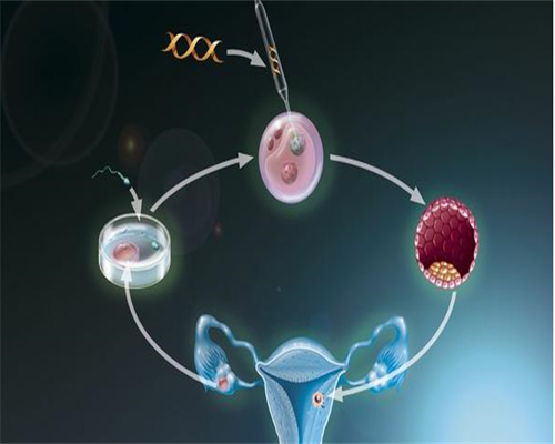 太原有代生小孩的么,试管婴儿取卵后需要休息多少天？_香港抽血验男女同时检