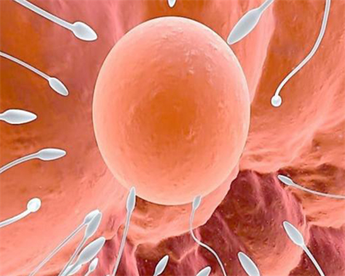 3防止胎停的办法