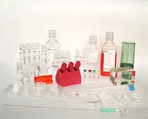 卵巢囊肿对怀孕的影响~代生机构电话