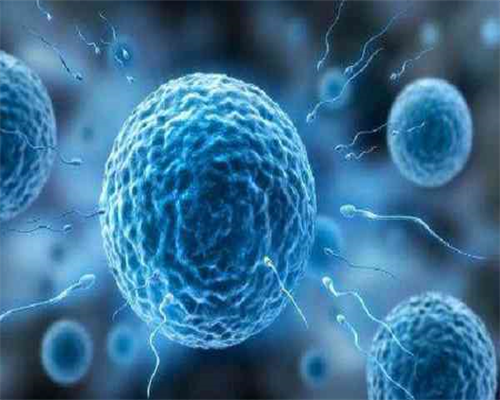 广州试管成功率高的医院，如何选择合适的广州试管医院