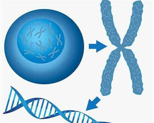 山西冻卵费用是多少,山西做供卵试管的医院名单已公开