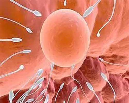 太原急找代孕费用，太原试管代孕违法吗